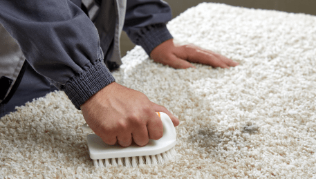 Professional Rug Cleaning Russells Bridge